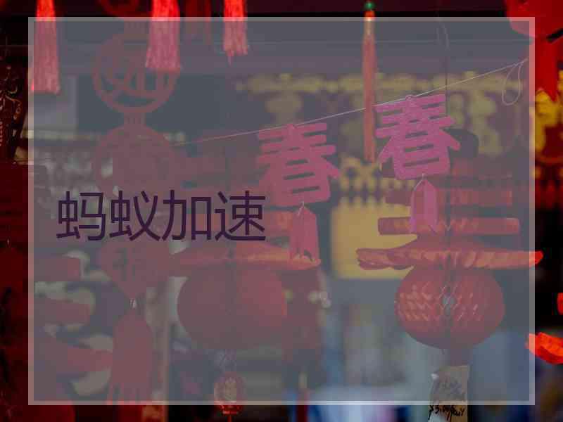 蚂蚁加速