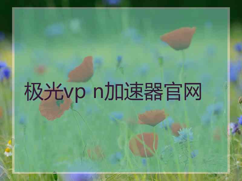极光vp n加速器官网