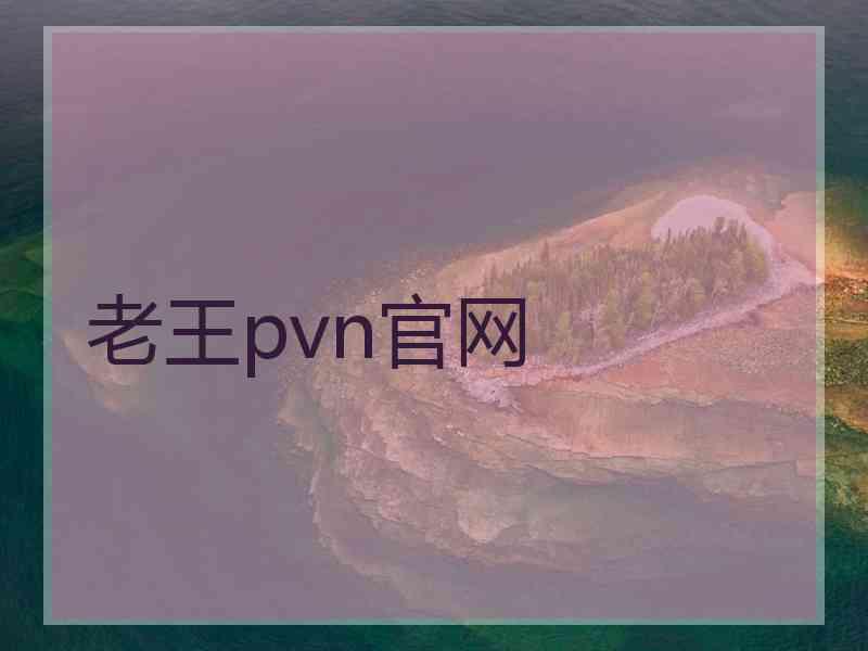 老王pvn官网