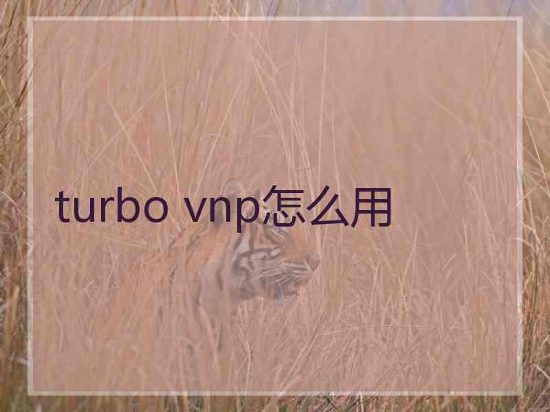 turbo vnp怎么用