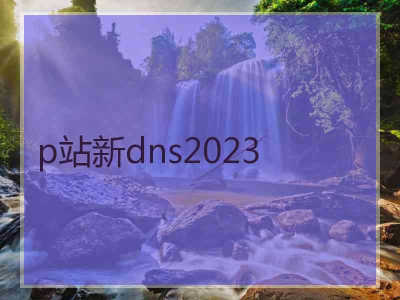 p站新dns2023