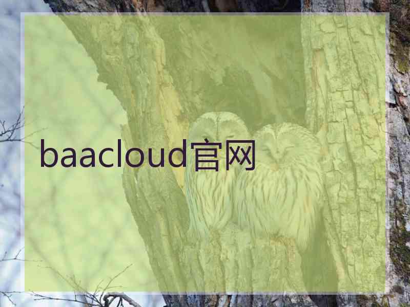 baacloud官网