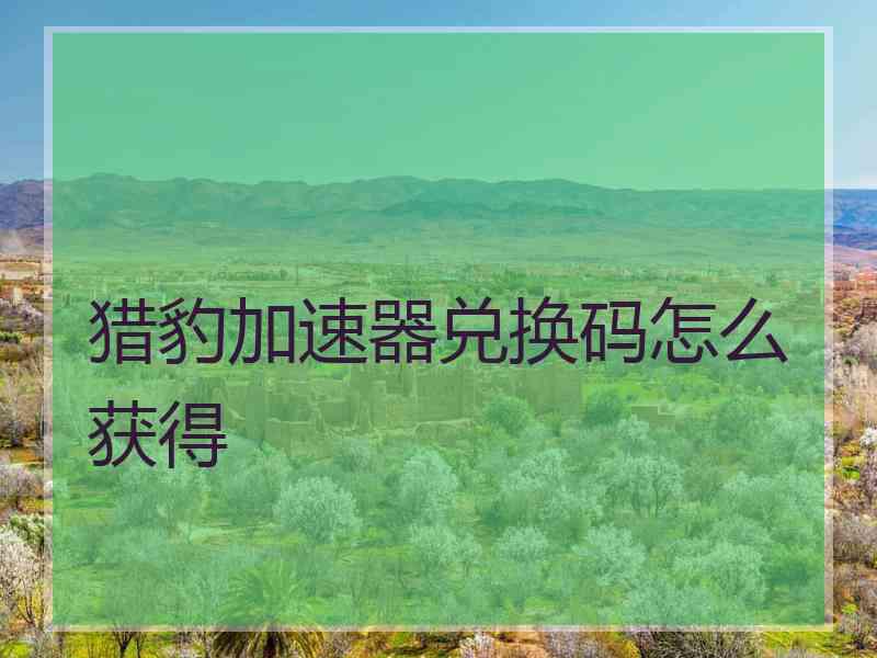 猎豹加速器兑换码怎么获得
