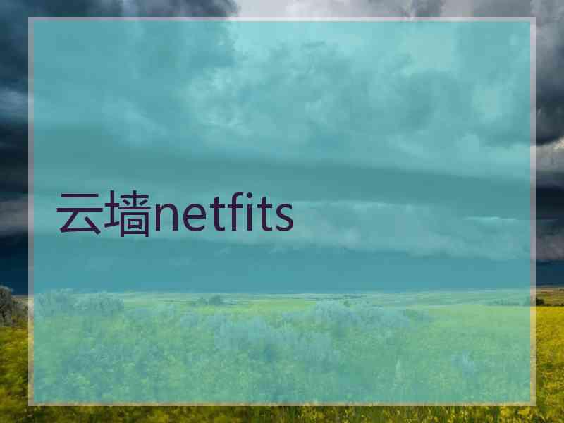 云墙netfits