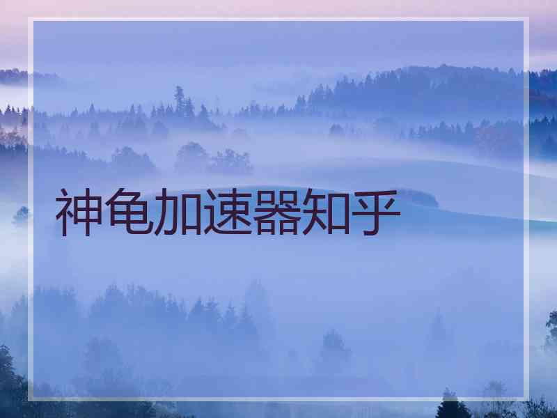 神龟加速器知乎