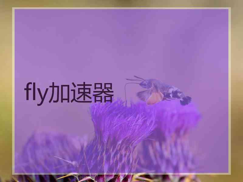 fly加速器