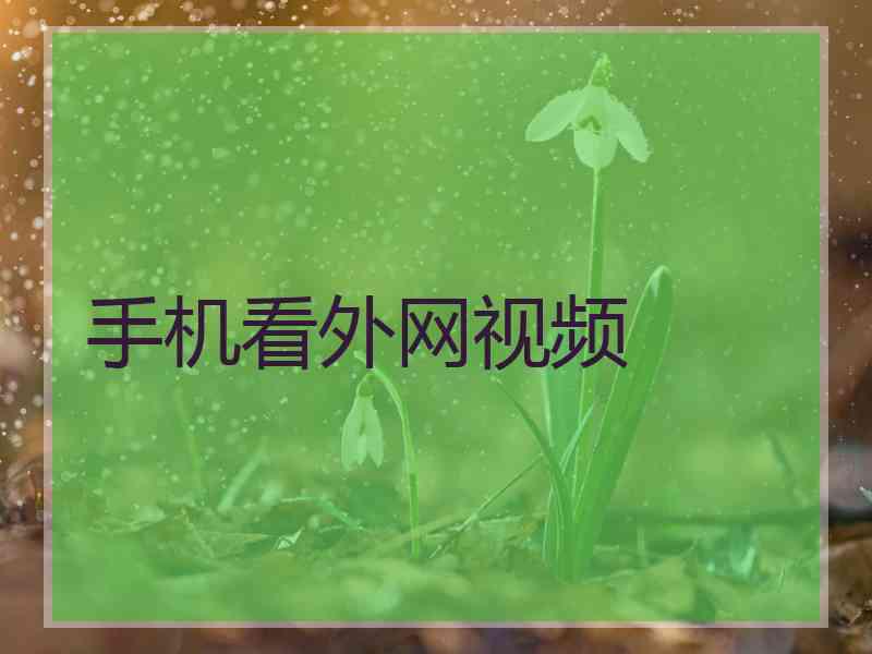 手机看外网视频