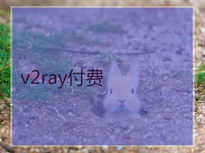 v2ray付费