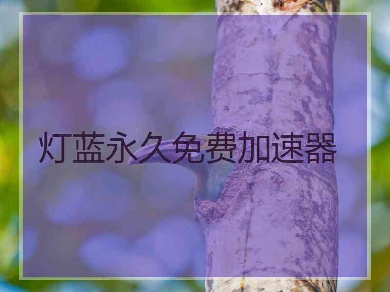 灯蓝永久免费加速器