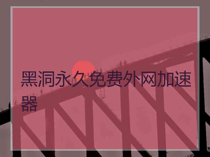 黑洞永久免费外网加速器
