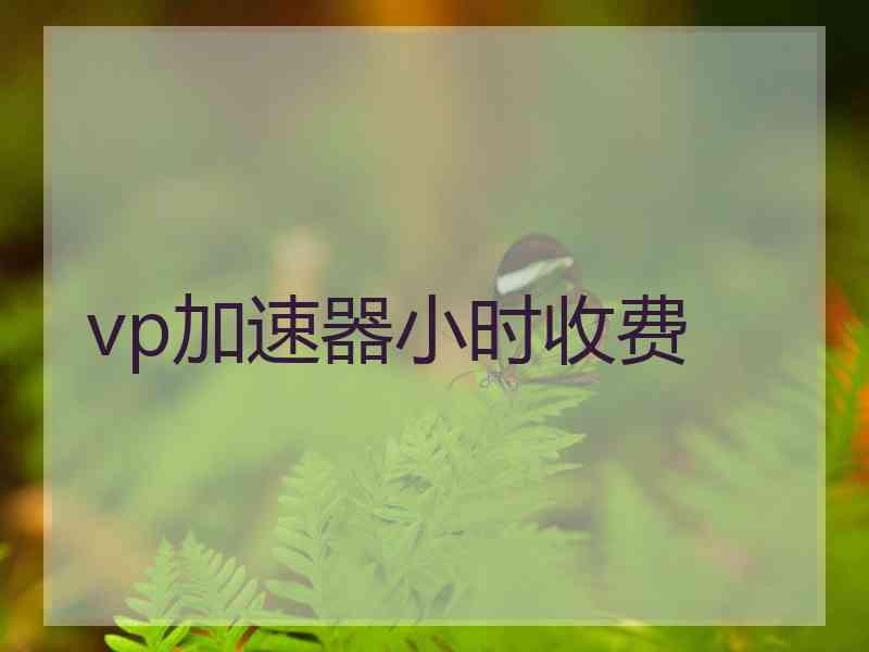 vp加速器小时收费