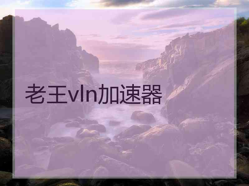 老王vln加速器
