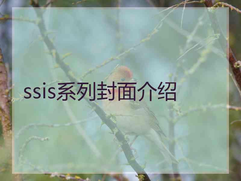 ssis系列封面介绍