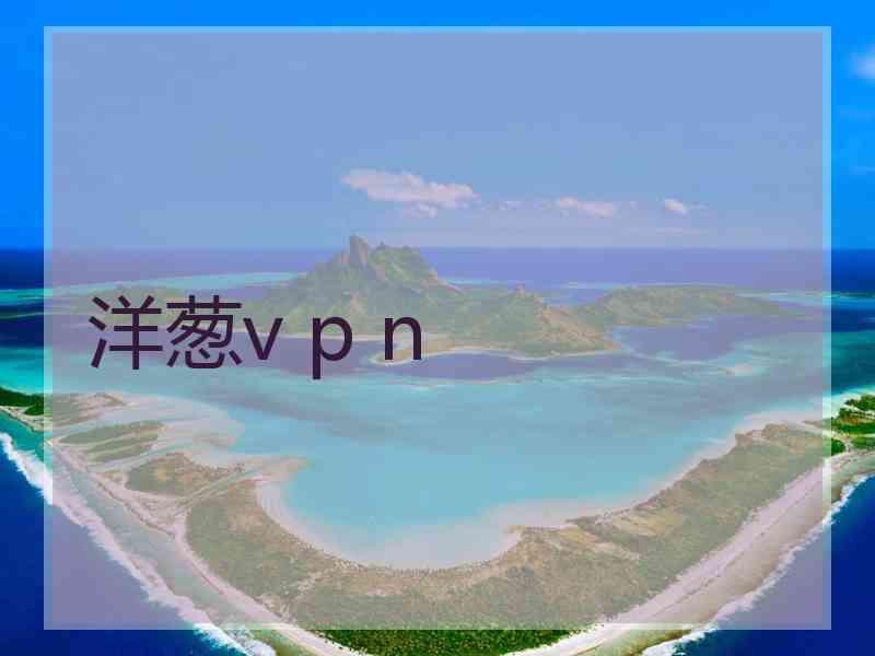 洋葱v p n