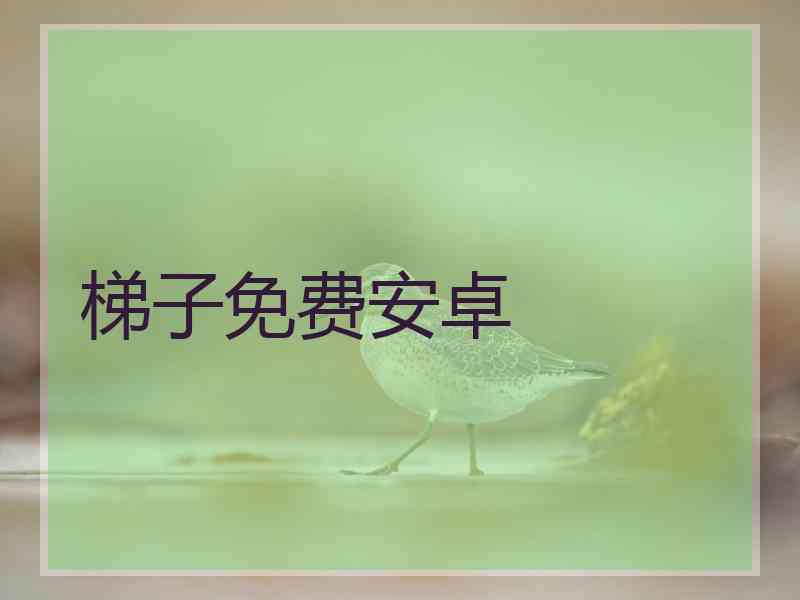 梯子免费安卓