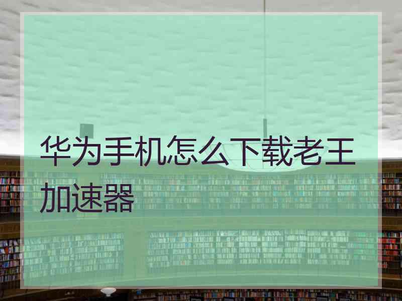 华为手机怎么下载老王加速器