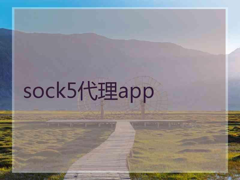 sock5代理app