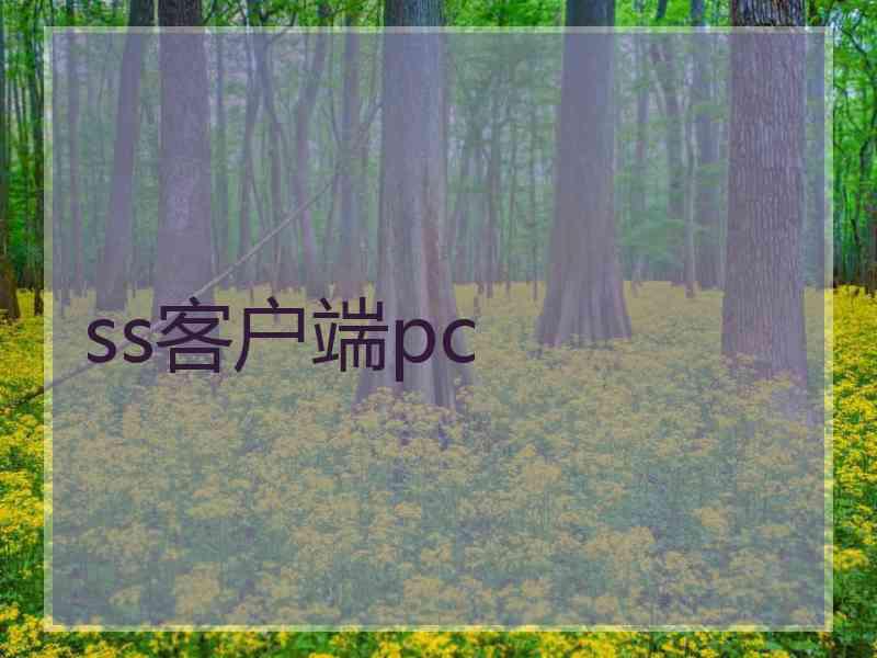 ss客户端pc