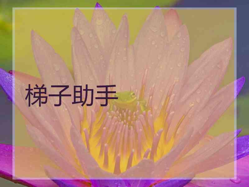 梯子助手