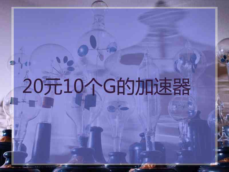 20元10个G的加速器