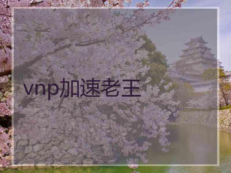 vnp加速老王