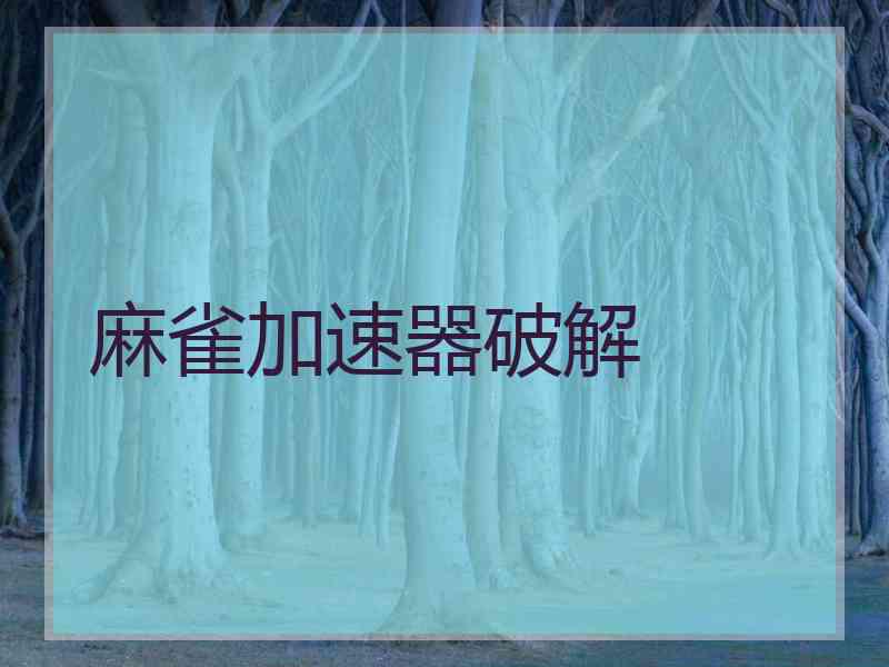 麻雀加速器破解