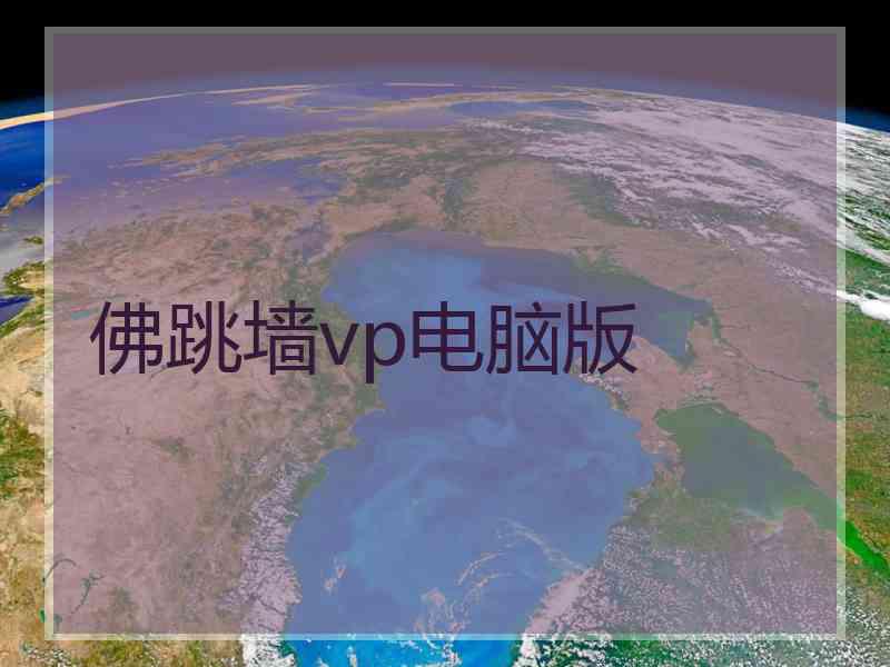 佛跳墙vp电脑版